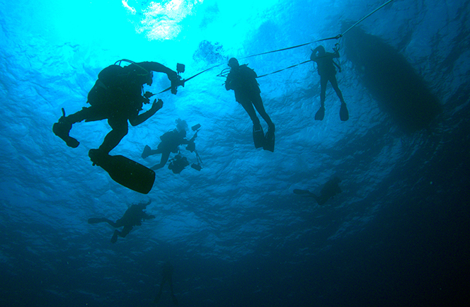 Azoren Liveaboard 9